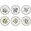 Portmeirion Botanic Garden Dinner Plates (Set of 6) - Assorted Floral Motif, Chip Resistant, Fine Earthenware, Microwave, Dishwasher, Freezer & Oven Safe - Perfect for Everyday Use & Special Occasions