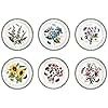 Portmeirion Botanic Garden 10.5" Dinner Plate - Set of 6 | Assorted Floral Motifs | Fine Earthenware | Chip Resistant Glaze | Dishwasher, Microwave, Freezer, Oven Safe | Made in England