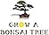 Grow A Bonsai Tree