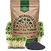 Organo Republic Broccoli Sprouting & Microgreens Seeds - Non-GMO, Heirloom Sprout Seeds Kit, 1lb Resealable Bag for & Growing Microgreens in Soil, Coconut Coir, Aerogarden & Hydroponic