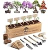 AVERGO Bonsai Tree Kit – 5X Unique Japanese Bonzai Trees | Complete Indoor Starter Kit for Growing Plants with Bonsai Seeds, Tools & Planters – Gardening Gifts for Women & Men