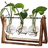 XXXFLOWER Plant Terrarium with Wooden Stand, Air Planter Bulb Glass Vase Metal Swivel Holder Retro Tabletop for Hydroponics Home Garden Office Decoration - 3 Bulb Vase