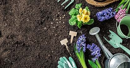 Products from Easy to Grow Bulbs in use