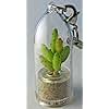 Apple Cactus Live Terrarium Plant Keychain Accessory