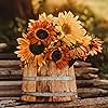 Autumn Beauty Sunflower Mix - 50 Seeds - Heirloom & Open-Pollinated Variety, Non-GMO Flower Seeds for Planting in The Home Garden, Thresh Seed Company