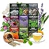 Medicinal Tea Seeds Collection - 9 Non-GMO Heirloom Herbs to Grow in The Garden - Chamomile, Lavender, Echinacea, Catnip, Lemon Balm, Marigold, Sage, Peppermint, White Yarrow - Survival Garden Seeds