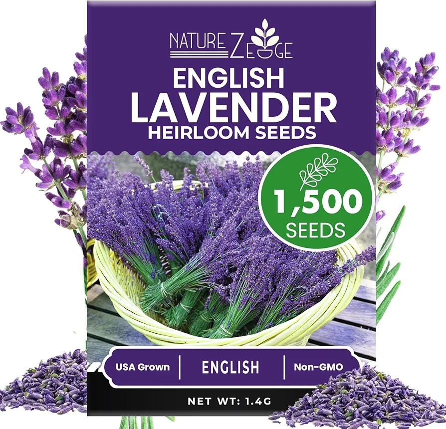 NatureZ Edge1500 English Lavender Seeds for Planting Outdoors or Indoors, 90% Germination, Lavender Plants, Non-GMO, Heirloom Herb Seeds (1 Pack)