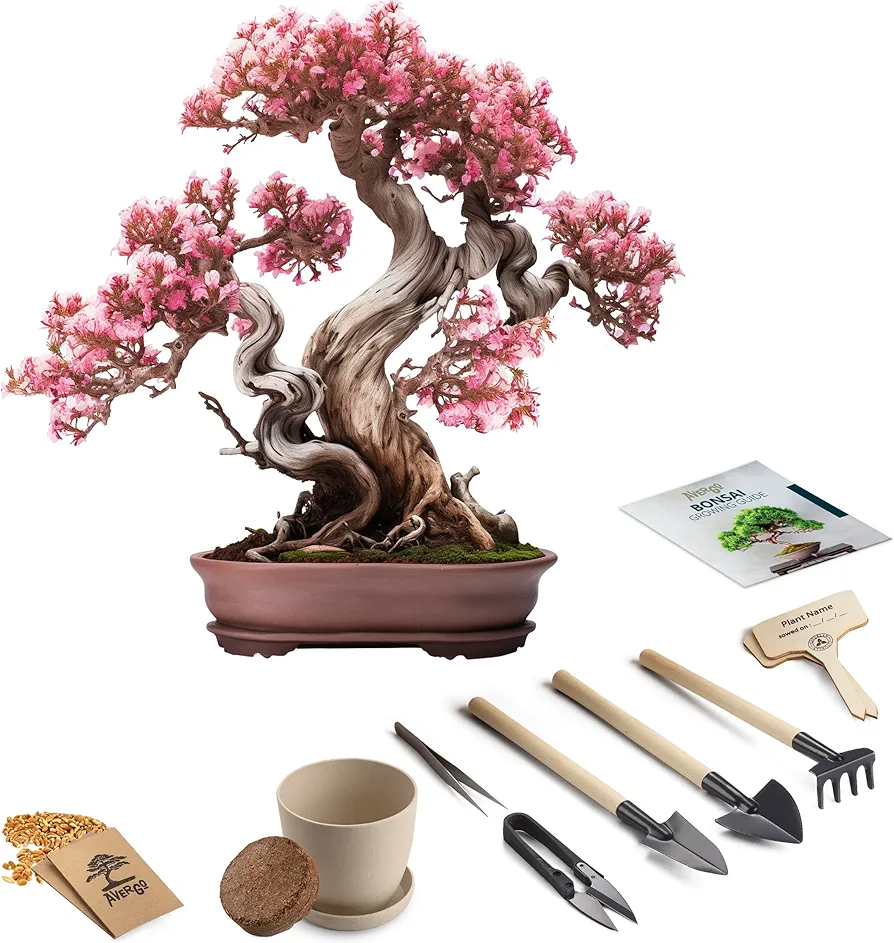 Bonsai Starter Kit – 1x Bonsai Tree | Complete Indoor Starter Kit for Growing Bonsai Plants with Tools & Planters – Gardening Gifts for Women & Men