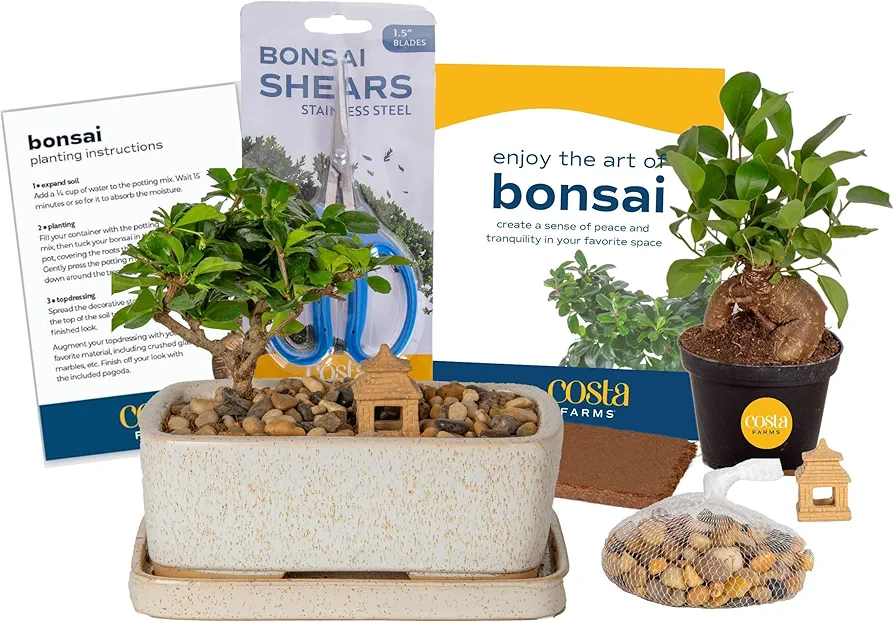 Costa Farms Bonsai Tree Kit, DIY Live Bonsai Tree Includes Bonsai Tools, Potting Soil Mix, Plant Pot, Fun Arts and Crafts Activity for Kids and Adults, Gardening, Birthday Gift, 10-Inches Tall