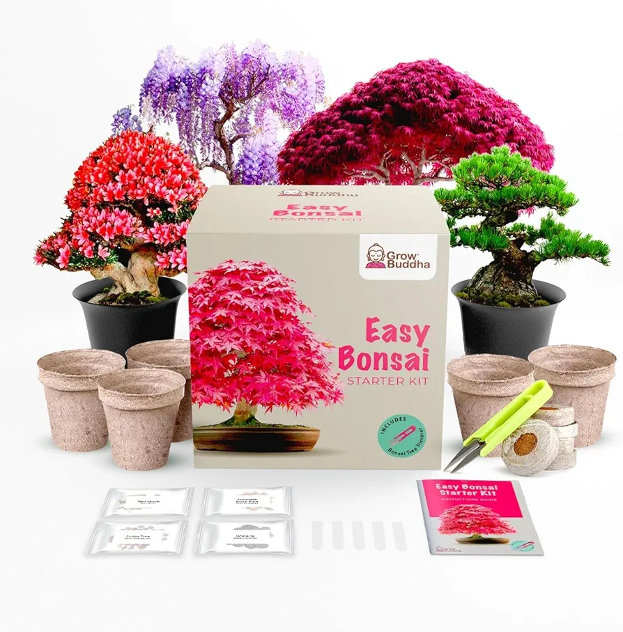 Grow Your Own Bonsai Tree kit | Easily Grow 4 Types of Bonsai Tree with Our Complete Beginner Friendly Bonsai Starter kit | Bonzai Tree | Christmas Gift Set for Plant Lovers (Bonsai Kit)