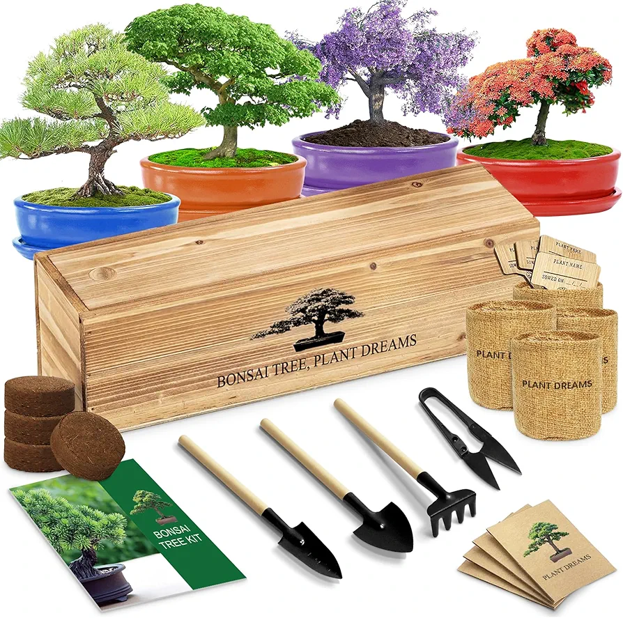 Bonsai Tree Kit, Bonsai Starter Kit with 4 Bonsai Tree Seeds, Tools & Planters, Bonsai Tree Live Plants Indoor, Gardening Gifts for Women Men Mom Father Plant Lover, Unique Christmas Gifts