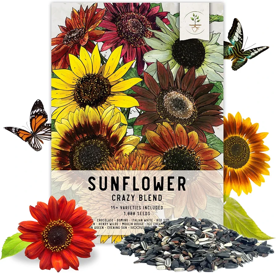 Seed Needs, Specialty Blend of 1,000+ Sunflower Seeds for Planting (15+ Varieties, Crazy Mixture) Heirloom, Open Pollinated & Untreated - Attracts Butterflies & Bees Bulk