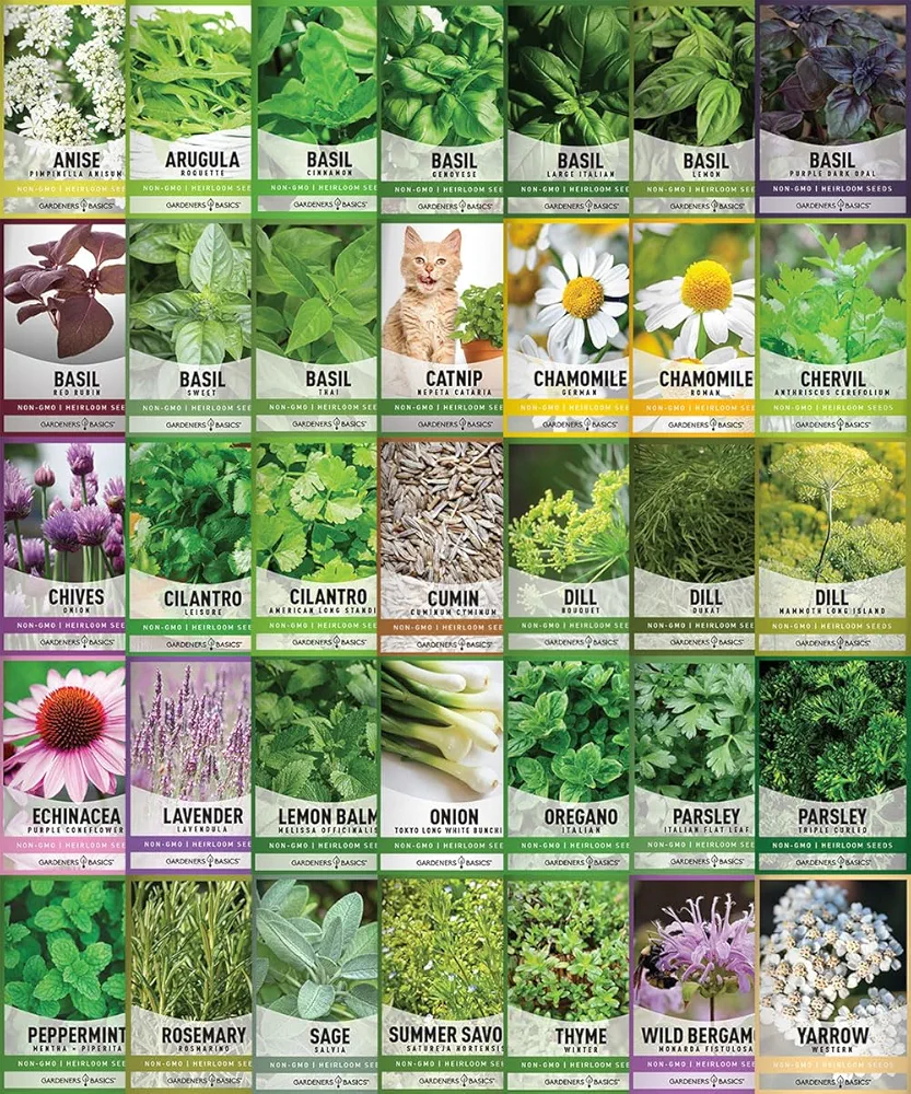 Complete Medicinal Herb Seeds for Planting Collection - 35 Best Herbs Variety Pack for Teas and Home Remedies - Indoor, Outdoor, Hydroponic Herbal Herbalist Seed - Non-GMO, Heirloom Gardeners Basics