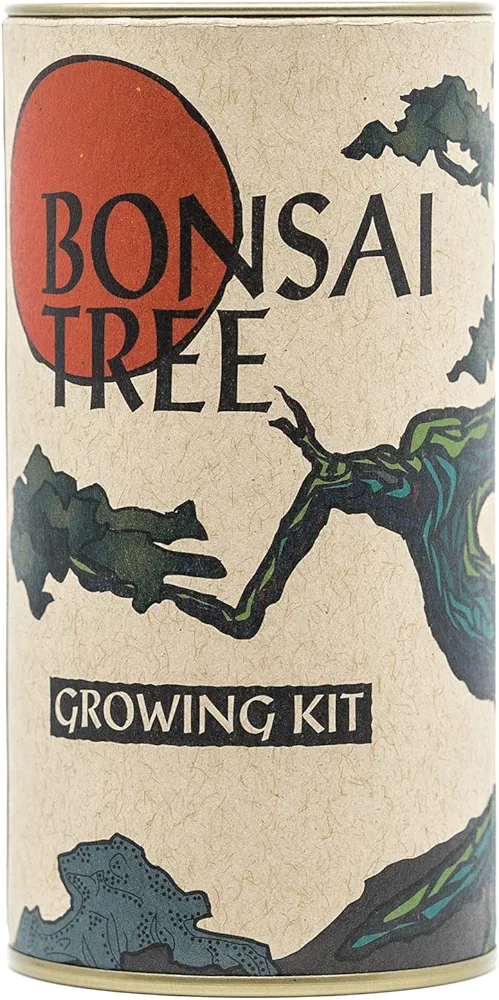 Bonsai Tree | Japanese Black Pine | Seed Grow Kit | The Jonsteen Company