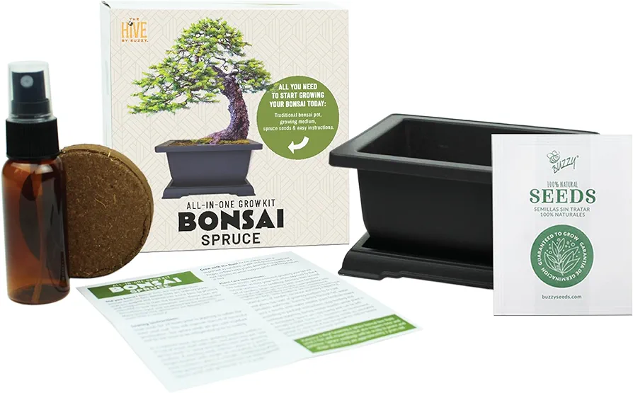 BUZZY Seeds Bonsai Complete Starter Kit (Norway Spruce) - Gardening Gifts - Guaranteed to Grow - Best Indoor Grow Your Own Gardening Gift - Hobbies for Plant Lovers or Unique Christmas Gifts