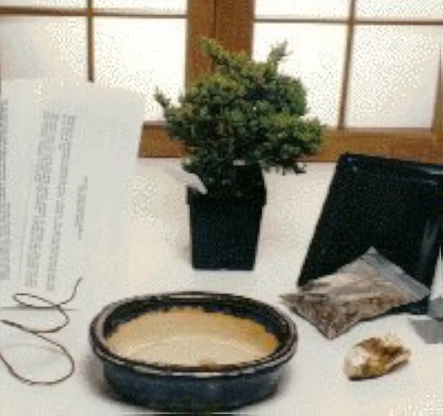 Bonsai Boy a1076 Basic Starter Kit - Juniper Procumbens - Make Your Own Bonsai Tree