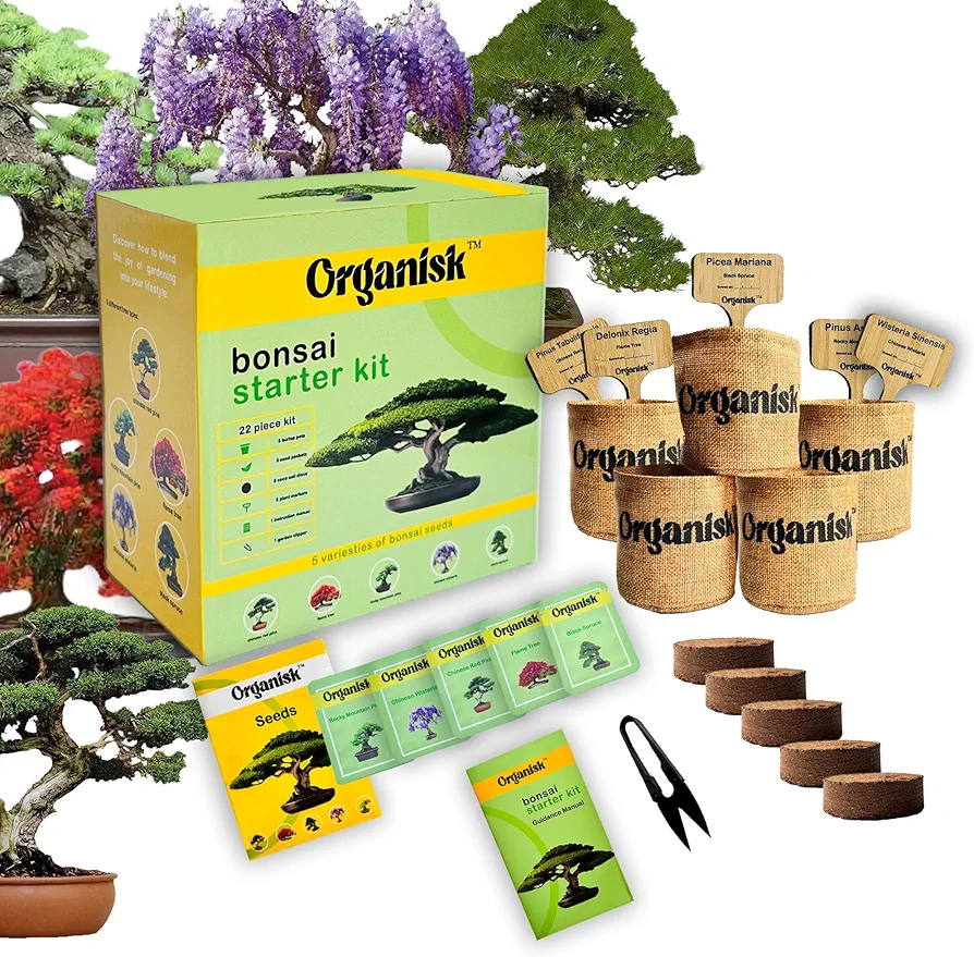 Bonsai Starter Kit - 5 Unique Tree Types, Special DIY Garden Hobby Kits - Great for Plant Lovers, for Kids, Men, Women, and Bonsai Enthusiasts