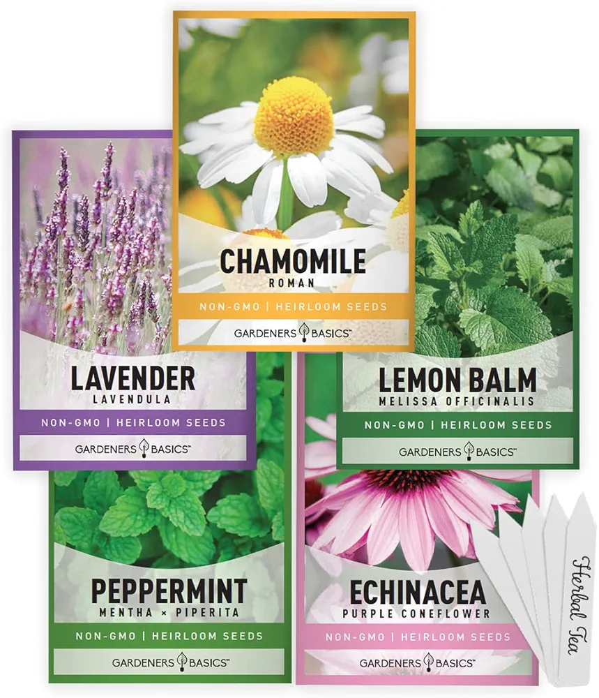 Gardeners Basics, Herbal Tea Seeds for Planting Indoors and Outdoors 5 Variety Packets Echinacea, Peppermint, Lavender, Chamomile and Lemon Balm - Great for Kitchen Herb Garden Heirloom Herb Seeds