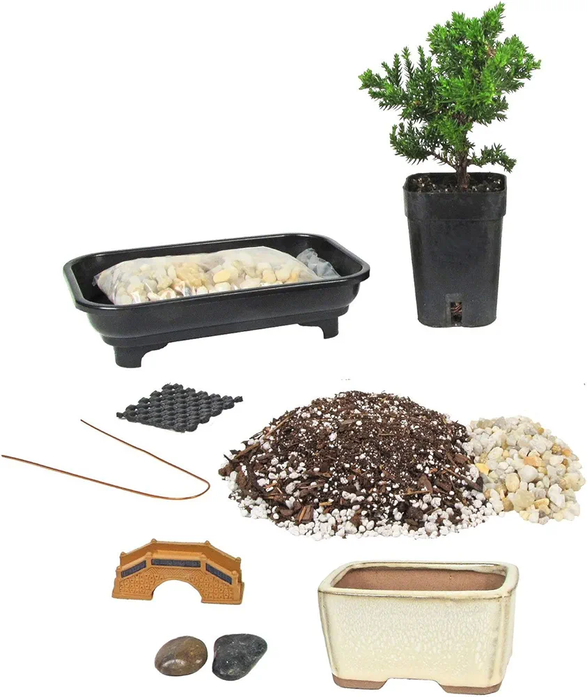 Eve's Deluxe Bonsai Tree Starter Kit About 2 Years Old, Complete Do-It-Yourself Kit with a Japanese Juniper and Humidity Tray !!! Cannot Ship to CA California & HI Hawaii !!!