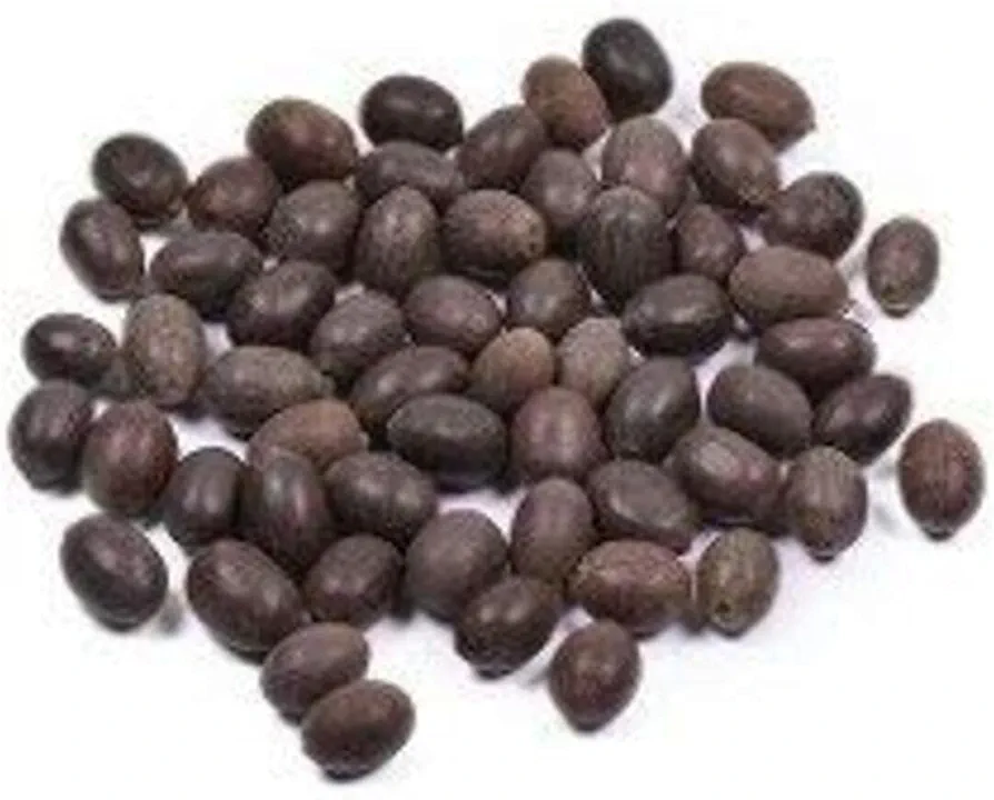 Indiakaart Kamal Gatta Seed/Lotus Seeds/Rosary of Kamal Gatta/Kamalgatta Seed (100 Grams)