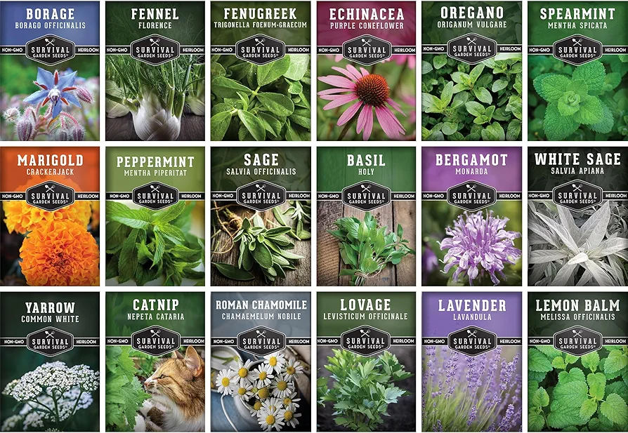 Survival Garden Seeds - 18 Medicinal Herb Seed Packets to Plant & Grow in The Home Vegetable Garden - Assortment of Herb Plant Seeds for Growing Herbal Teas & Tinctures - Non-GMO Heirloom Varieties