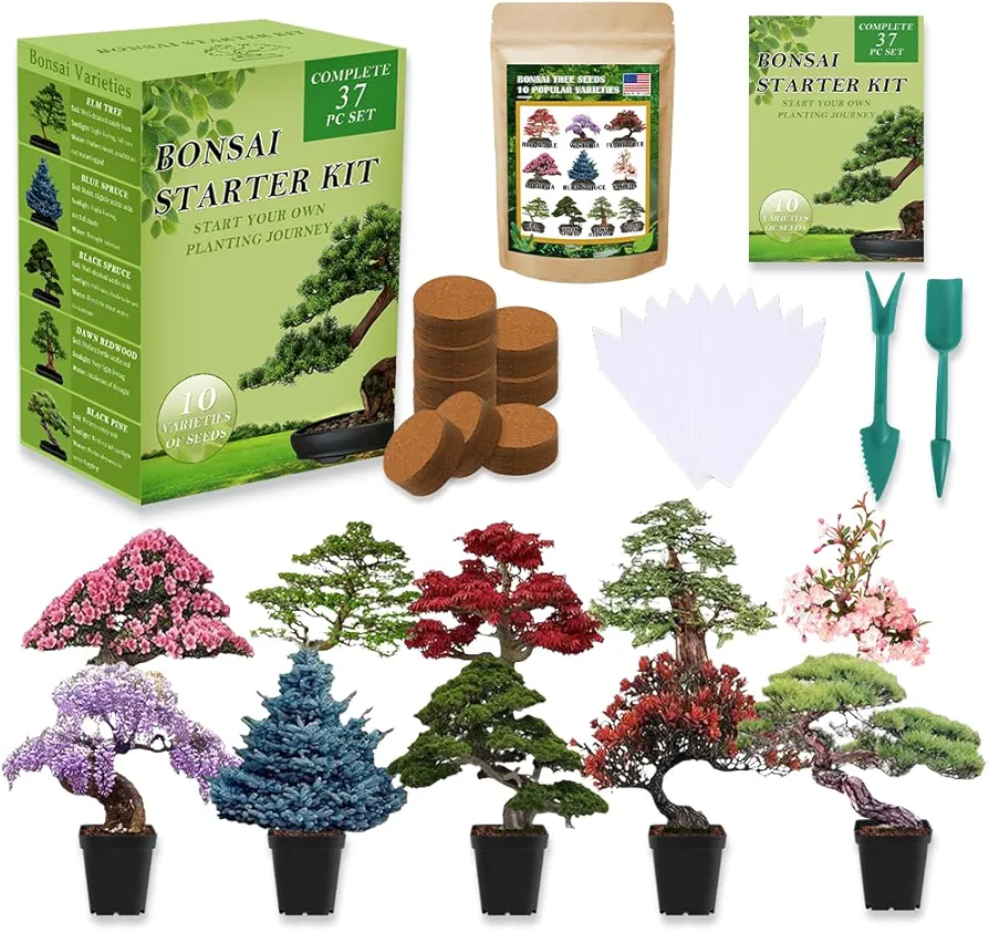 Bonsai Tree Seeds Kit 10 Popular Varieties Soil Pots Plant Markers Bonsai Starter Kit with Grow Guide