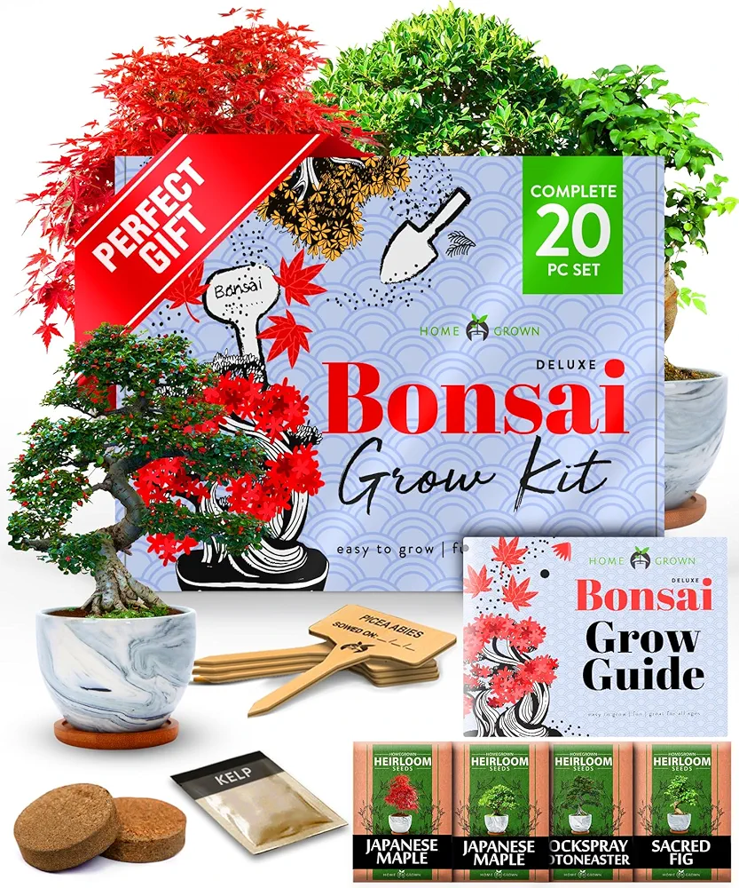 HOME GROWN Bonsai Tree Kit - Premium Ceramic Starter Kit - 4 Variety of Bonsai - Unique Gift for Men and Women Gardeners