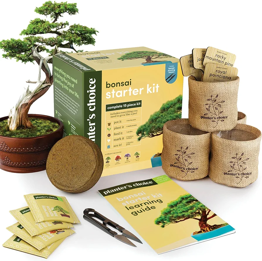 Bonsai Starter Kit - Gardening Gift for Women & Men - Bonsai Tree Growing Garden Crafts Hobby Kits for Adults, Unique DIY Hobbies for Plant Lovers - Unusual Christmas Gifts Ideas - or Gardener Mother