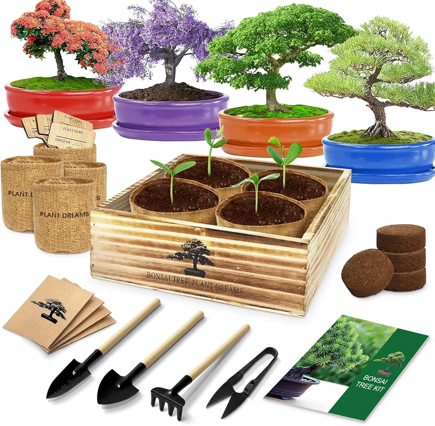 Bonsai Tree Kit, Bonsai Starter Kit with 4 Bonsai Tree Seeds, Tools & Planters, Bonsai Tree Live Plants Indoor, Gardening Gifts for Women Men Mom Father Plant Lover, Unique Christmas Gifts