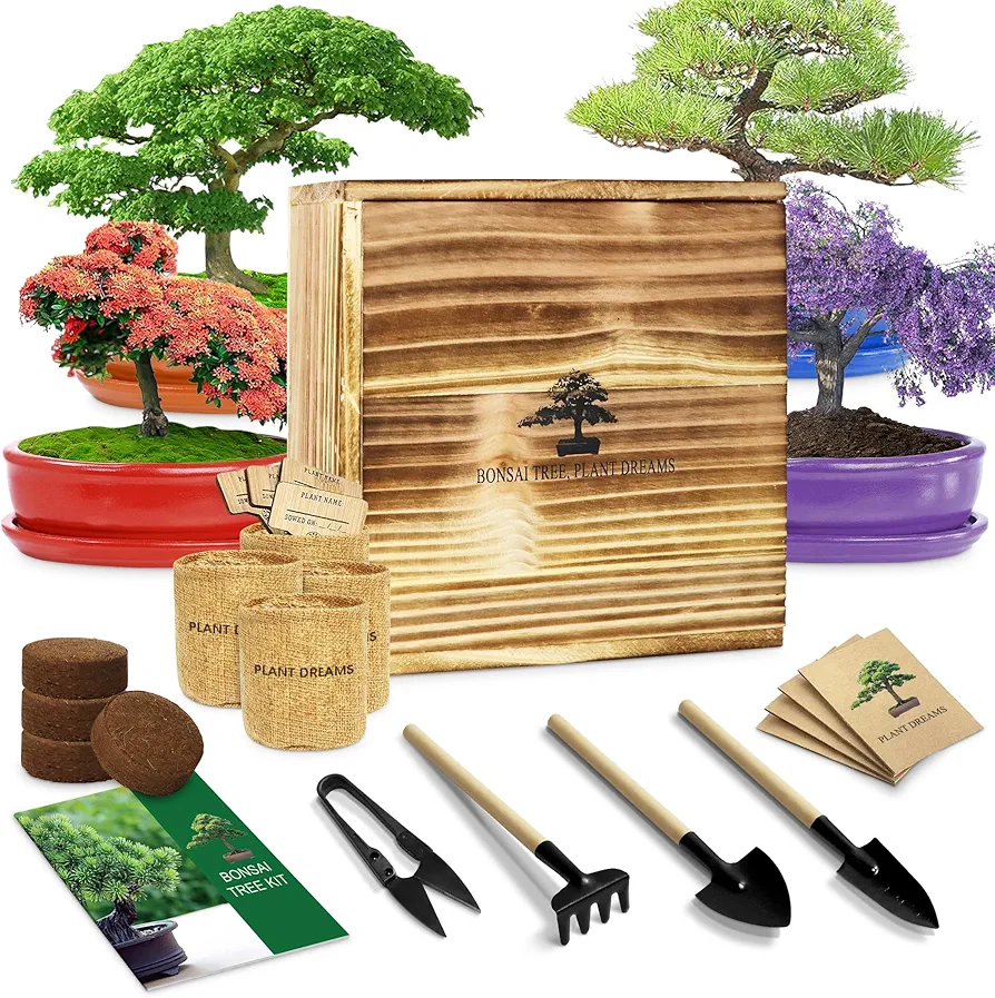 Bonsai Tree Kit, Wooden Gift Box Indoor Bonsai Tree Starter Kit with Tools & Japanese Plants Seeds, Growing DIY Gardening for Plant Lovers (Plant Lover Gift)