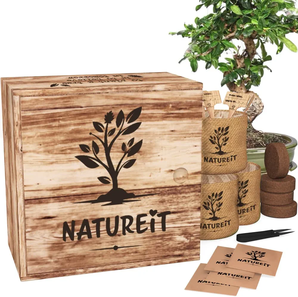 Natureit Bonsai Tree Kit - Unique Wooden Growing Kit. Everything Needed to Grow 4 Types of Bonsai Trees from Seeds. Indoor/Outdoor Gardening Gift Ideas for Plant Lovers. DIY Kits for Adults.