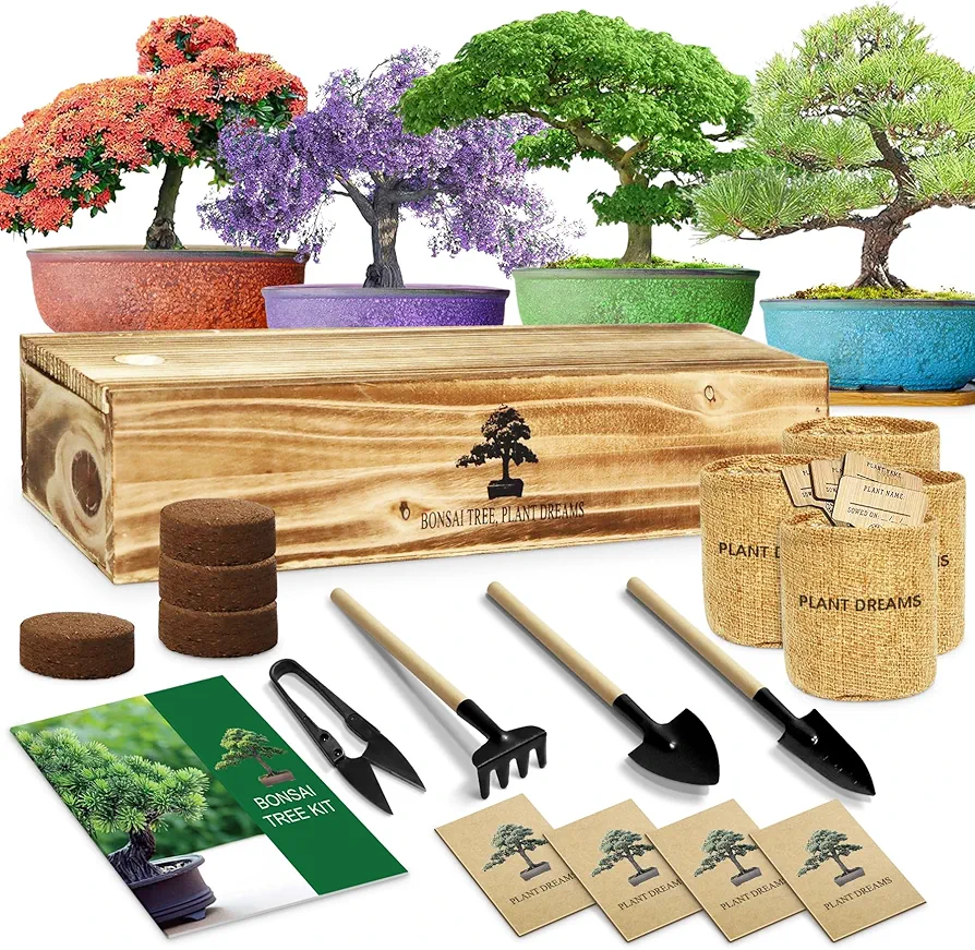 Bonsai Tree Kit, Bonsai Starter Kit for Growing Bonsai Plants with Tools, Grow Bonsai Tree Live Indoor, Garden Crafts Hobby Kits, Unique DIY Gardening Gifts for Men Women Mother