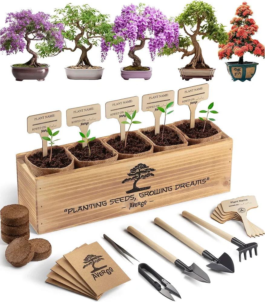 Bonsai Tree Kit – 5X Unique Japanese Bonzai Trees | Complete Indoor Starter Kit for Growing Plants with Bonsai Seeds, Tools & Planters – Gardening Gifts for Women & Men