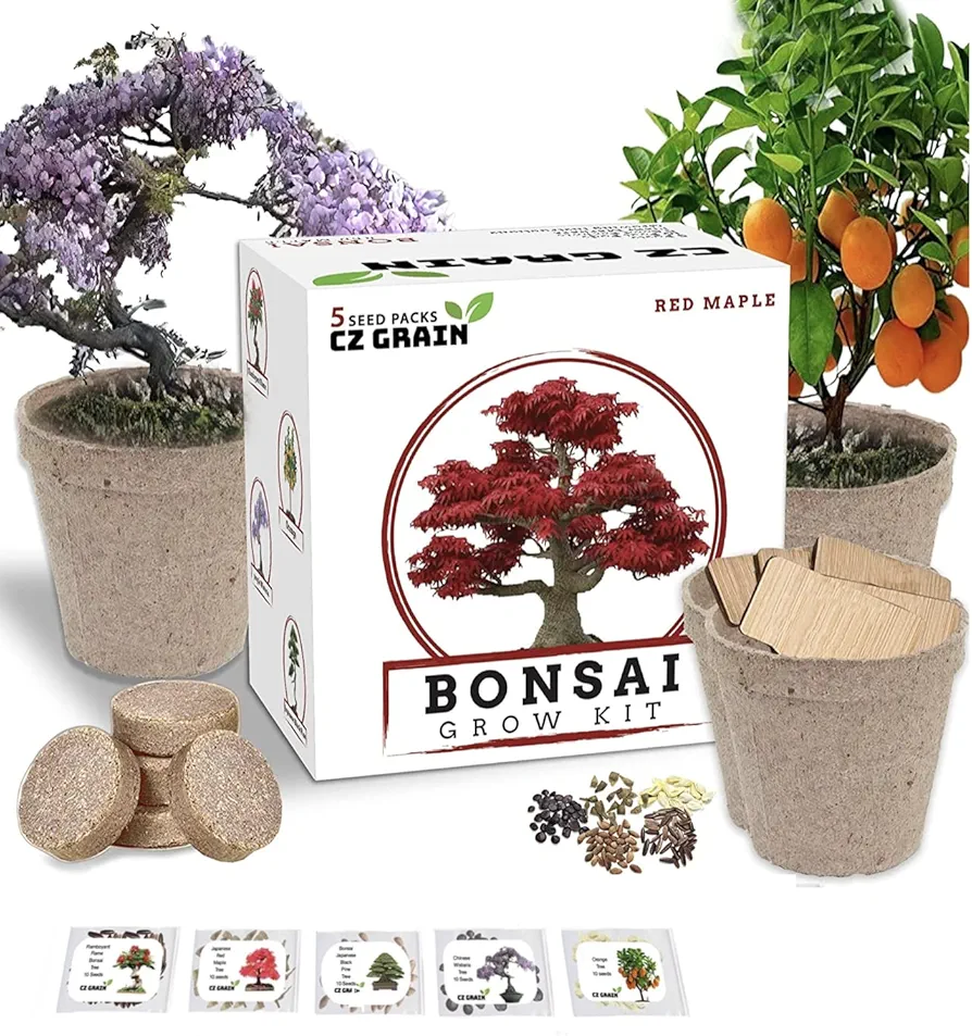 Bonsai Tree Kit – Grow 5 Species of Bonsai Tree w/Our All-in-One Plant Kit: Bonsai Pots & Peat Pellets Including a Tutorial Video by CZ Grain | Great Gardening Gifts for Women and Men