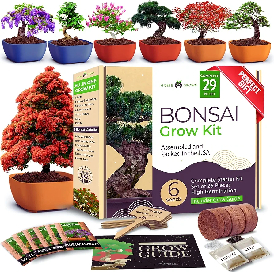 HOME GROWN Bonsai Tree Kit: Unique Christmas Gift for Men - Bonsai Starter Kit w/ 6 Seed Varieties - Unique Designed Pots - All-in-One Craft Kit for Adults for Gardeners & Plant Lovers