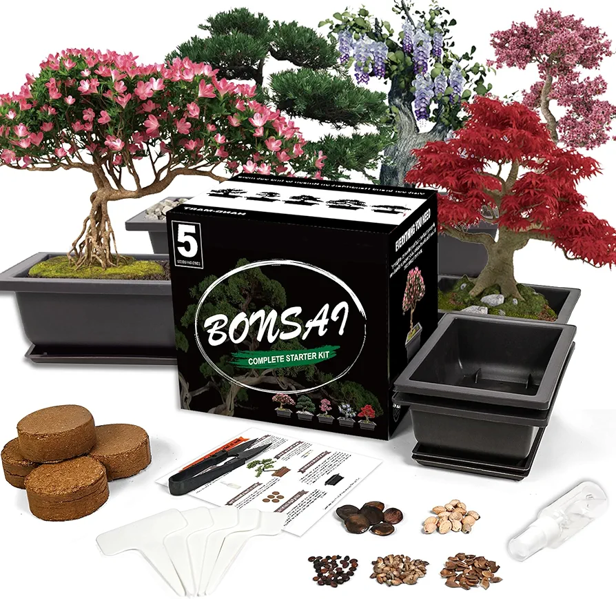 Bonsai Starter Kit, 5 Seeds Growing into Acacia, Wisteria, Sakura, Red Maple and Black Pine, Including Complete Gardening Tools with A Gift Box, Christmas Gifts for Men Women Beginners