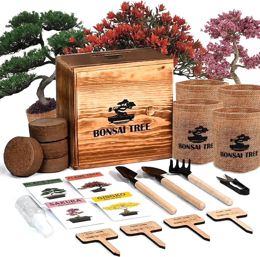 Bonsai Garden Starter Kit, 4 Seeds Growing into Sakura, Ginkgo, Black Pine, Red Flame, Including Complete Gardening Tools & A Wooden Box with Cover, Christmas Gifts for Men Women Beginners