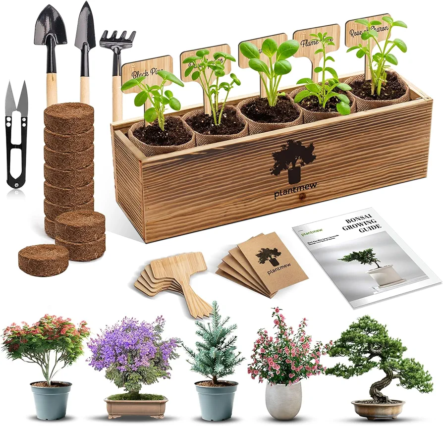 Bonsai Tree Kit - Grow 5 Unique Trees, Complete Gardening Gift Set for Adults, Christmas for Plant Lovers