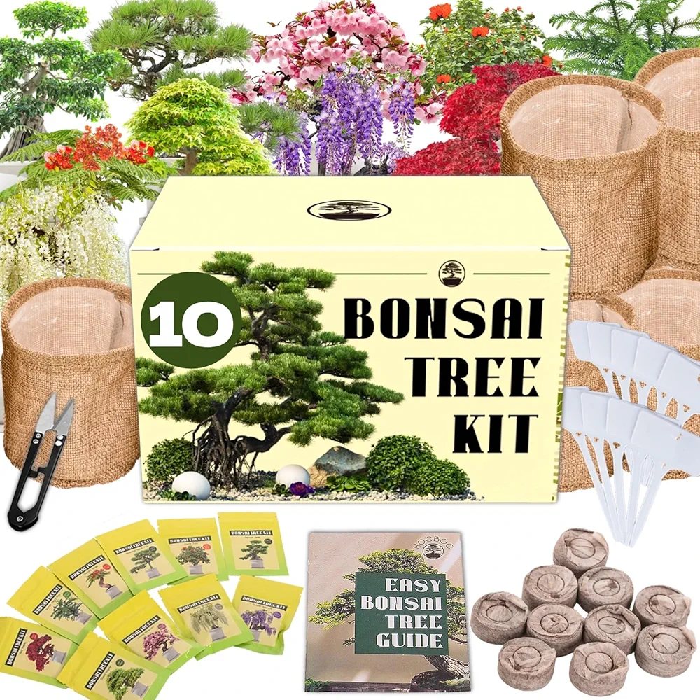 Premium Bonsai Tree kit - 10 Types Bonsai Tree Growing Set for Starter, Bonsai Kit with Soil, Pots, Scissor, Plant Makers, Grow Bonsai Indoor, Bonsai Beginner Kit Plant Gifts for Xmas