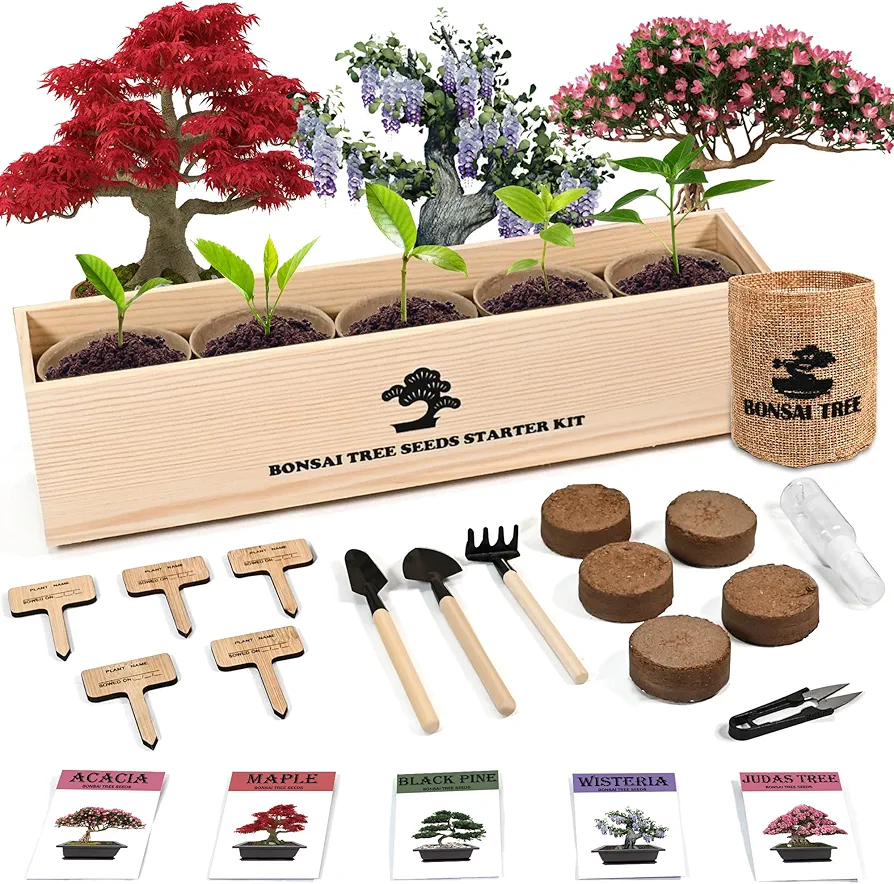 Indoor Bonsai Garden Starter Kit, 5 Seeds Growing into Red Maple, Wisteria, Black Pine, Judas Tree, Acacia, Including Complete Gardening Planters & A Wooden Box, Christmas Gifts for Women