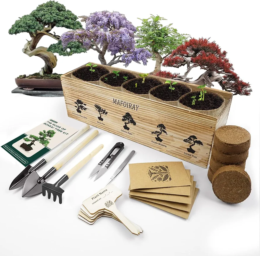 Bonsai Tree Kit, 5 X Unique Japanese Bonsai Trees, Include Bonsai Tree Seeds, Tools, Complete Indoor Bonsai Starter Kit for Growing Bonsai Plants, Gardening Gifts for Women & Men