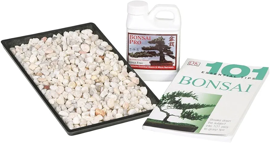 Brussel's Bonsai Starter Success Kit with 8" Humidity Tray & Deco Rocks