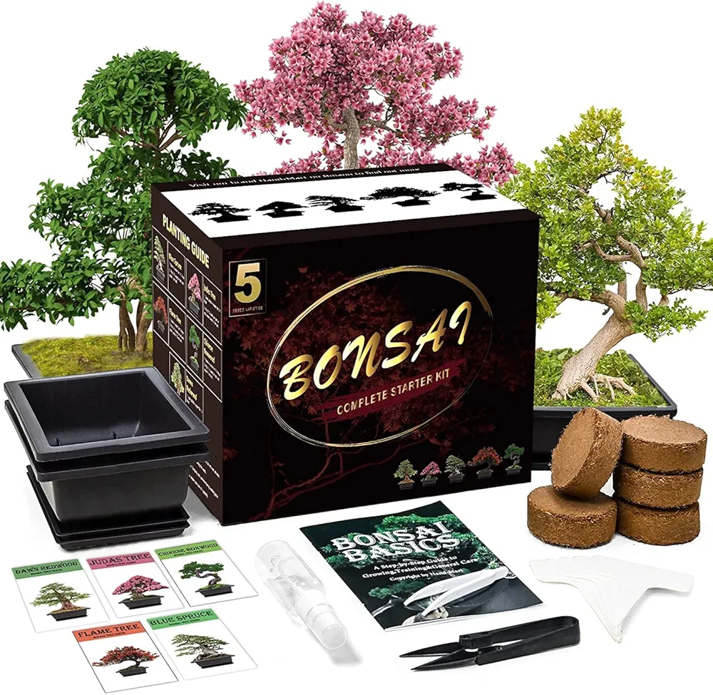 Bonsai Tree Kit with Complete Plant Growing Tools, Grow in Pot Indoor Bonsai Tree Starter Kit, Home Gardening DIY Gift for Adult