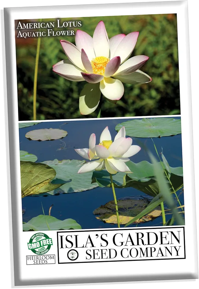 American Lotus Aquatic & Pond Flower Seeds for Planting, 2 Seeds Per Packet, (Isla's Garden Seeds), Non GMO & Heirloom Seeds, Scientific Name: Nelumbo Lutea, Great Gift