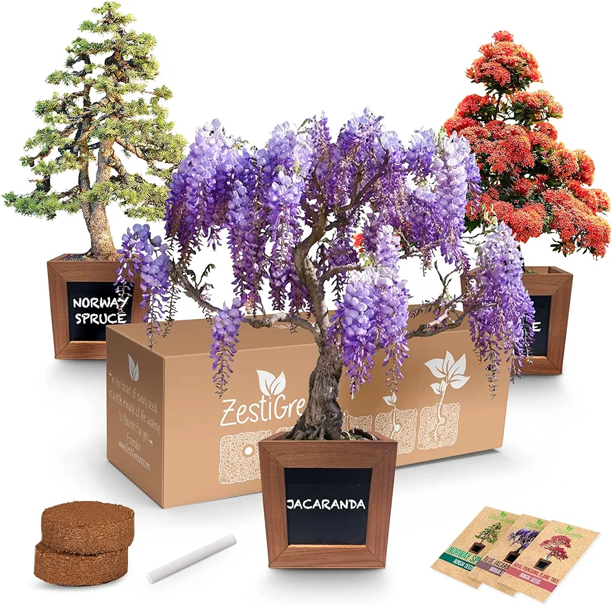 Bonsai Starter Kit - Gardening Gift for Women & Men - Bonsai Tree Growing Garden Crafts Hobby Kits for Adults, Unique DIY Hobbies for Plant Lovers