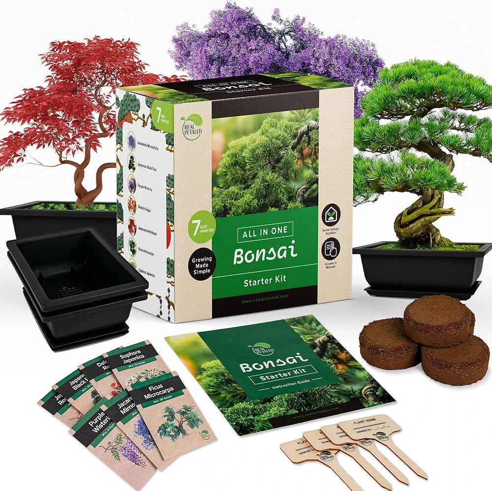 Bonsai Starter Kit – Japanese Bonsai Tree Kit with Bonsai Tools, 7 Bonsai Tree Seeds, Pots – Complete Grow Your Own Bonsai Tree Live Kit – Plant Lover Gifts Home Gifts for Men and Women