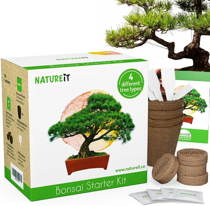 Bonsai Tree Kit for Beginners – Indoor Bonsai Starter Kit with Seeds to Grow 4 Unique Live Trees, Great Gift for Plant Lovers and DIY Plants. Perfect Art Crafts for Mom or Dad and Hobbies for Adults