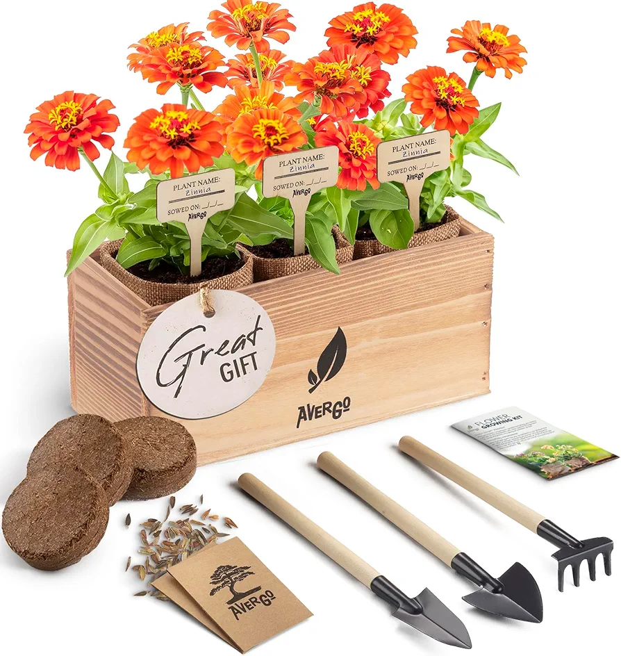 Zinnia Flower Growing Kit - Complete Indoor Planter Set with Zinnia Seeds for Planting Indoors | with Seeds, Planter, Tools, & Soil - Complete Starter Kit