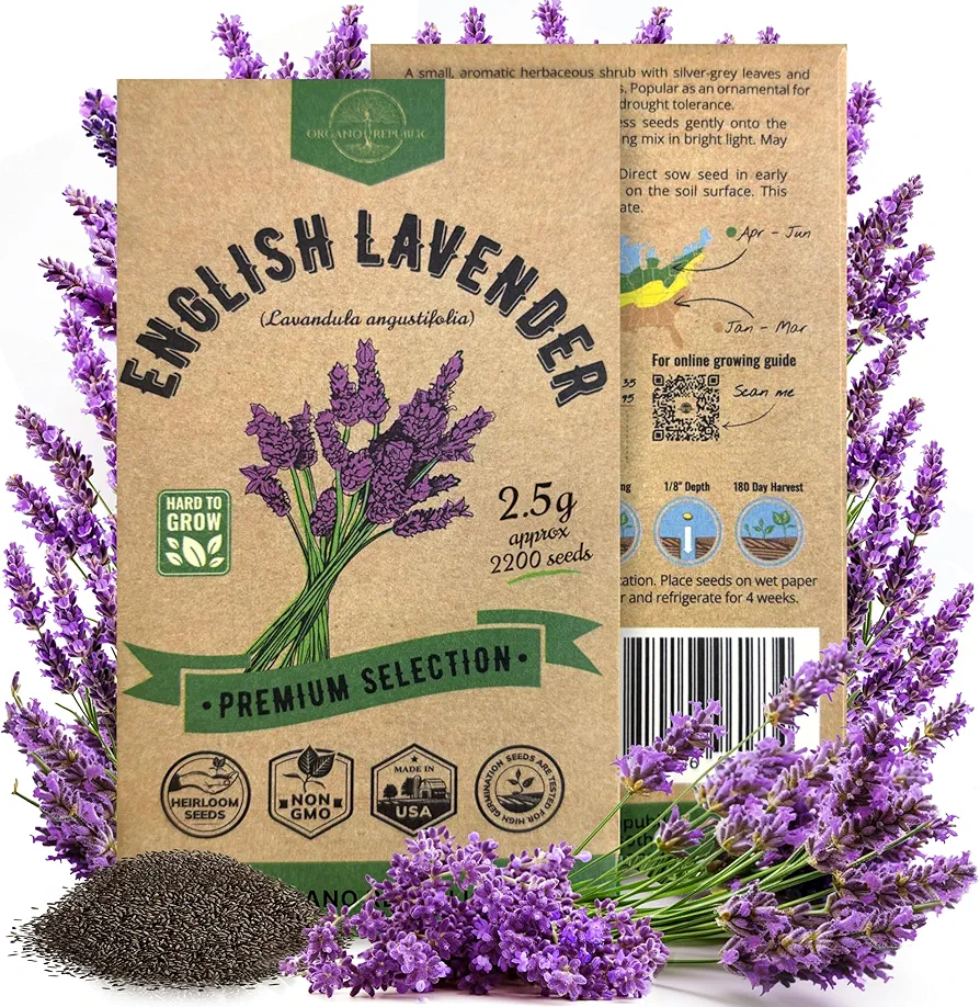 English Lavender Seeds Pack 2.50G - Over 2200 Non-GMO Heirloom Lavender Seeds for Planting Herbs in Individual Seed Packet, Herbs Seeds for Planting Home Garden Indoor & Outdoor Gardening