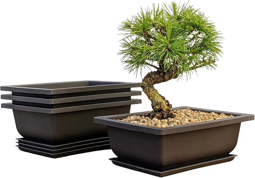 Bonsai Outlet Training Pots with Humidity Trays - Built in Mesh, Six Inch Large Planters + Made from Durable Shatter Proof Poly-Resin, Set of 3 Pot Set…